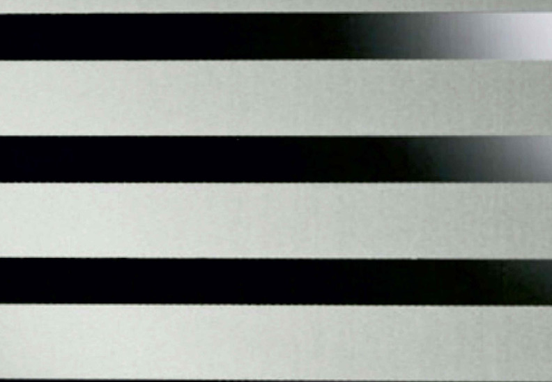 DP13